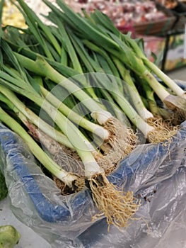 bundle of the fresh green china Leeks