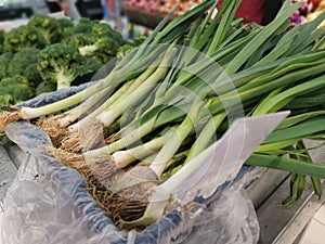 bundle of the fresh green china Leeks