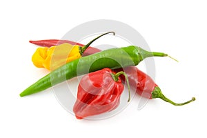 Bundle of fresh hot peppers