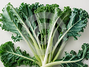A bundle of fresh kale leaves arranged neatly.