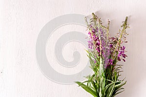 Bundle of fresh medicinal willow-herb on the table