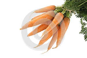 Bundle of fresh, orange carrots with green tops isolated on white