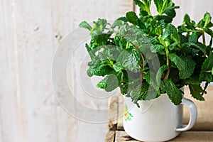 Bundle of fresh organic mint twigs in enamel mug on rustic wood box, spring or summer, natural light, outdoors