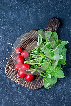 Bundle of fresh organic radish from farm on rustic board