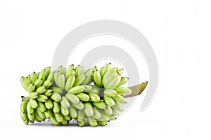 bundle of fresh raw Lady Finger banana on white background healthy Pisang Mas Banana fruit food isolated