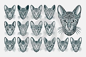 Bundle of front view egyptian mau cat head illustration design