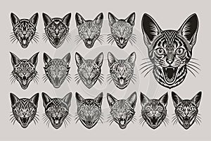 Bundle of funny meowing sokoke cat head illustration design