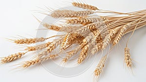 A Bundle of Golden Wheat.AI generated image