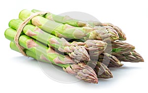 Bundle of green asparagus spears isolated on white background