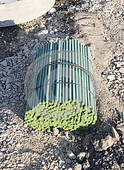 A bundle of green steel rebar