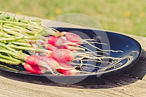 Bundle healthy radish in a black bowl/bundle healthy radish in a black bowl on a wooden white background, selective focus