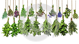 Bundle of herbs hanging on string