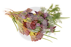 Bundle of herbs on white, isolated scallion, dill, lettuce, basil, fresh green onion, bunch of salad, herbs and spices, herbs &