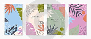 Bundle of insta story templates with tropical palm leaves