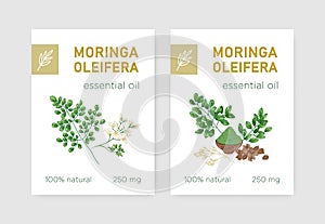Bundle of labels with Miracle Tree or Moringa oleifera. Set of tags with edible herbaceous plant used in phytotherapy