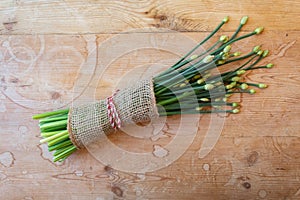 Bundle of large chives bound in burlap and tied with twine on a weathered wood background