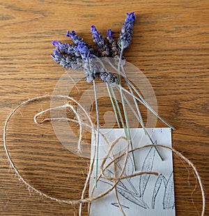 Bundle of lavender with loose twine and an accompanying card photo