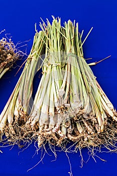 Bundle of lemon grass