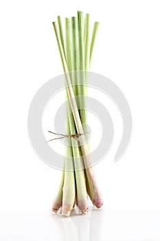 Bundle of lemon grass on white background