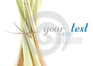 Bundle of lemon grass on white background