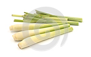 Bundle of lemongrass isolated on white background