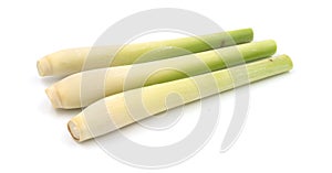 Bundle of lemongrass isolated on white background.