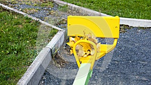 Bundle of maple leaves on sit of children teeter