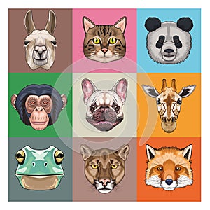 bundle of nine animals domestics and wild icons