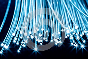 Bundle of optical fibers with lights in the ends. Blue background