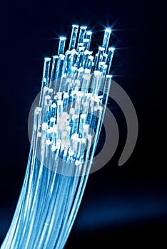 Bundle of optical fibers with lights in the ends. Blue background
