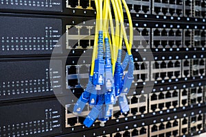 A bundle of optical Internet wires is on the manager switches.bunch of fiber optic cables is located on the background of empty