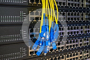 A bundle of optical Internet wires is on the manager switches.Bunch of fiber optic cables is located on the background of empty