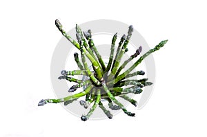 Bundle os asparagus photo