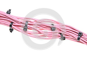 Bundle of pink cables with black cable ties