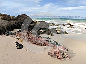 Bundle of Plastic Fishing Nets and lines washes up on Waimanalo Beach