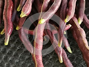 Bundle of the purple string bean vegetable.