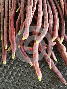 Bundle of the purple string bean vegetable.