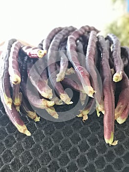 Bundle of the purple string bean vegetable.