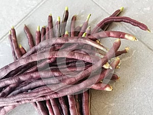 Bundle of the purple string bean vegetable.