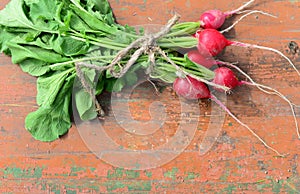 Bundle of red radish with brown packthread
