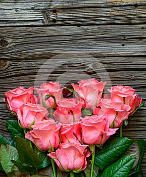 Bundle of roses at center of wood background