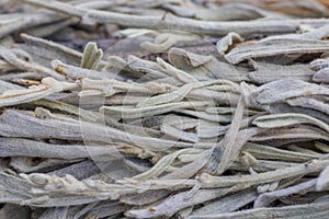 A Bundle of Sage Close Up