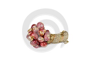 Bundle of Shallot small onions isolated on white background