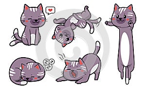 bundle of stickers cute and funny cats