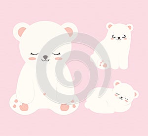 three cute bears