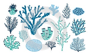 Bundle of various corals and seaweed or algae isolated on white background. Set of blue and green underwater species