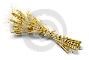 Bundle of Wheat