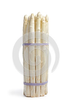 Bundle of white asparagus