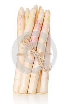 Bundle of white asparagus shoots, upright standing