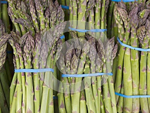 Bundles of Asparagus